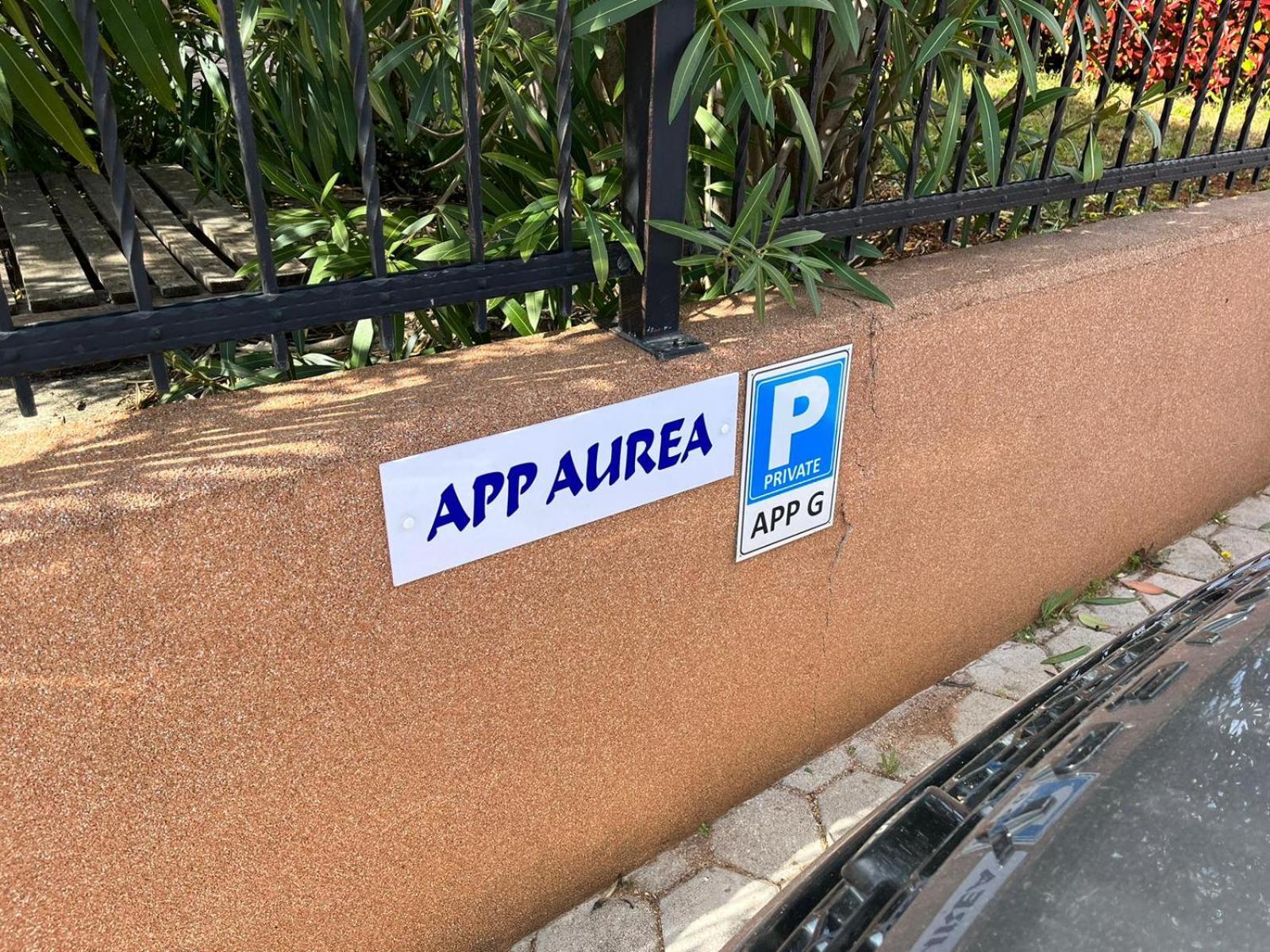Aurea Novigrad Apartment Novigrad  Exterior photo